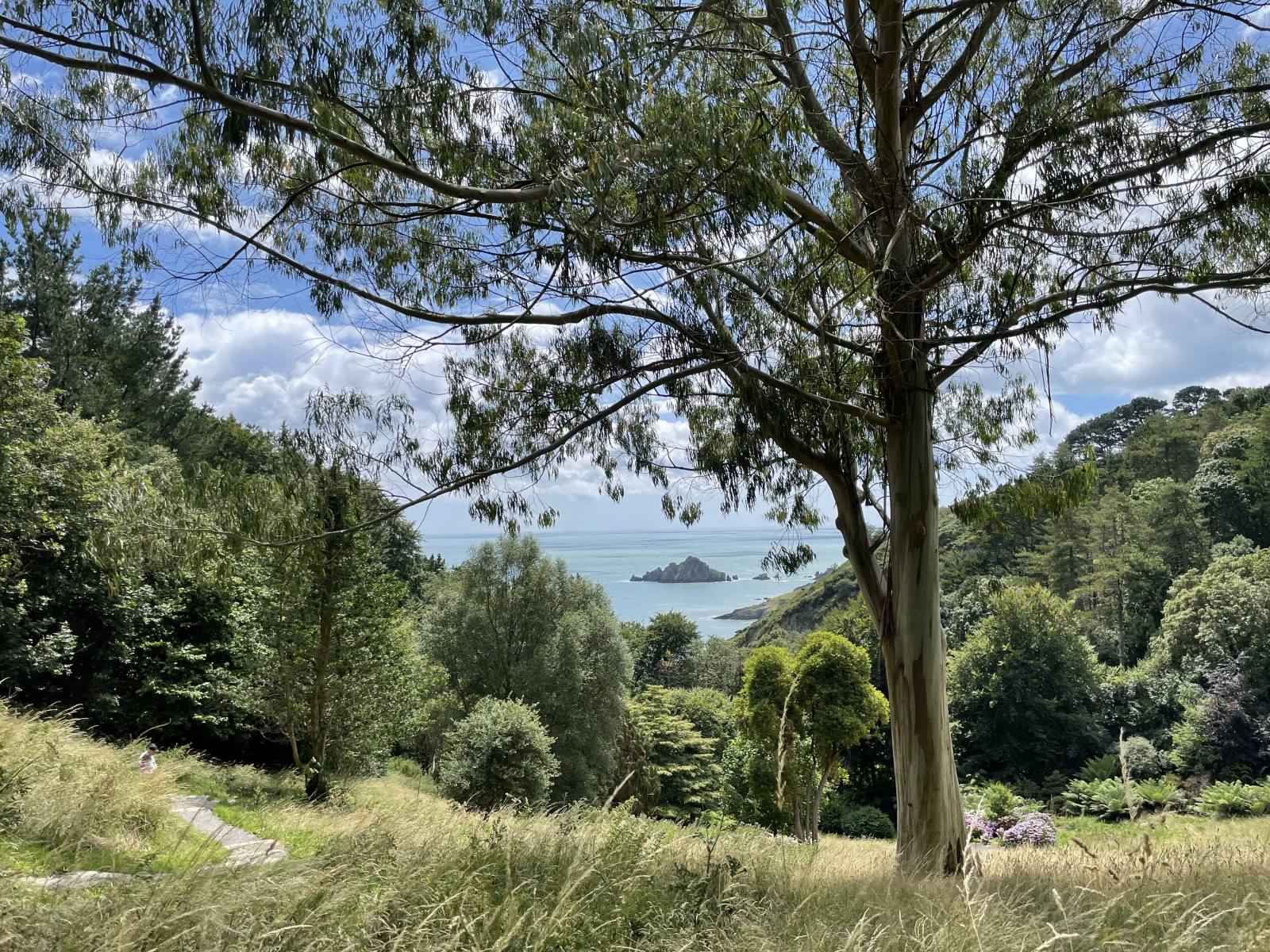 Coleton Fishacre