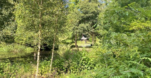 Bodnant Gardens